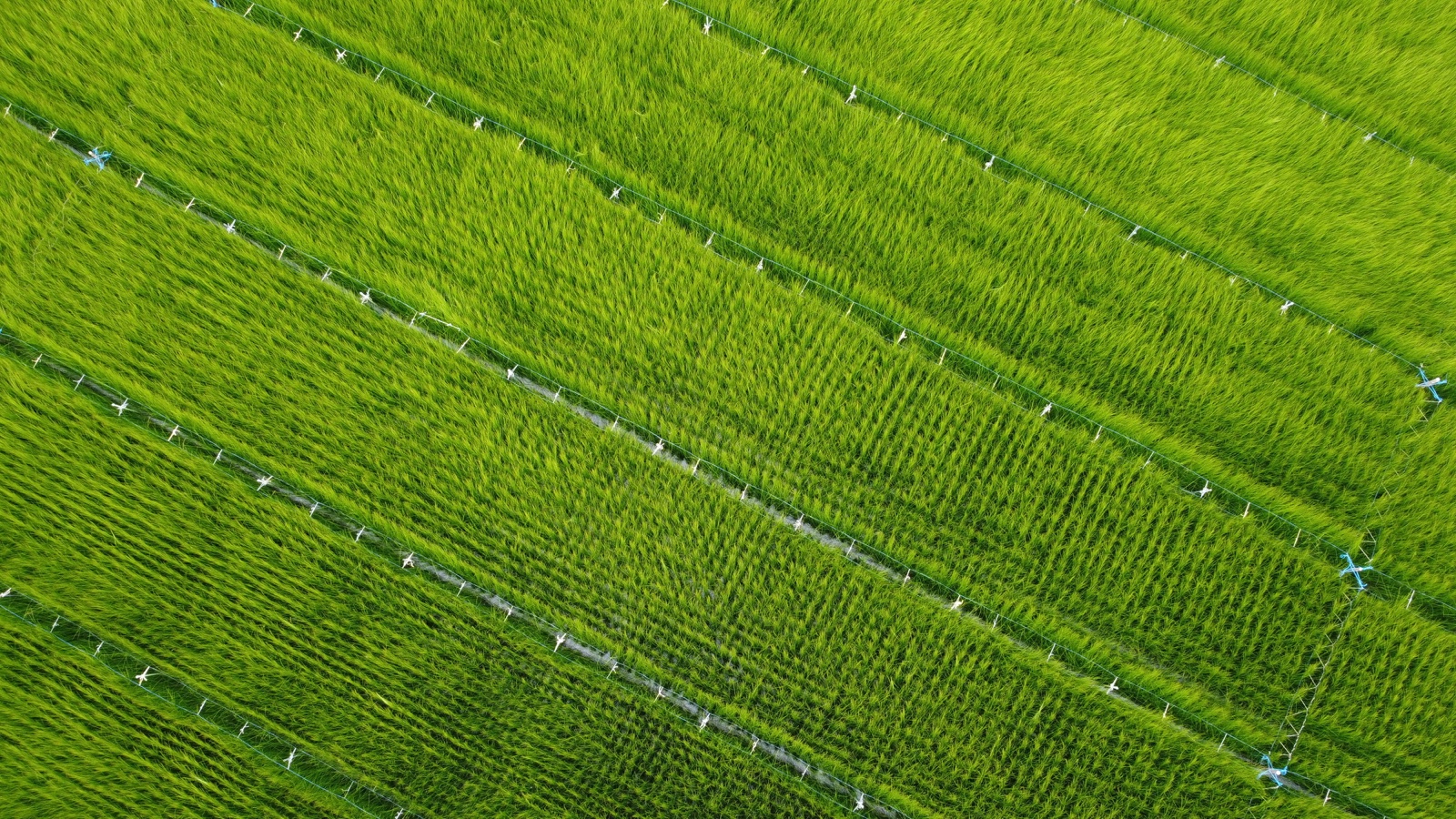 Nature to Material 1
